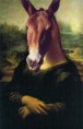 /album/galeria-de-fotos/mula-lisa-jpg/